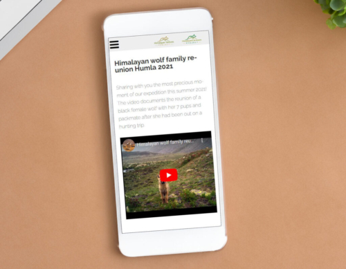 Himalayan Wolves Project